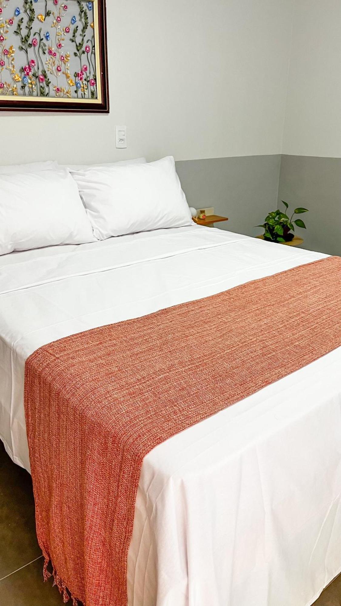 Hotel Novidade Em Piri! Passarada 3*